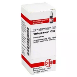 PLANTAGO MAJOR C 30 graanulid, 10 g