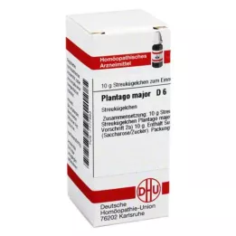 PLANTAGO MAJOR D 6 kapslit, 10 g