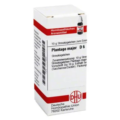 PLANTAGO MAJOR D 6 kapslit, 10 g