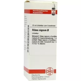 RIBES NIGRUM emaltinktuur, 20 ml