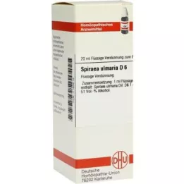 SPIRAEA ULMARIA D 6 Lahjendus, 20 ml