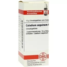 CALADIUM seguinum C 6 kapslit, 10 g