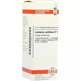 LEONURUS CARDIACA D 1 Lahjendus, 20 ml