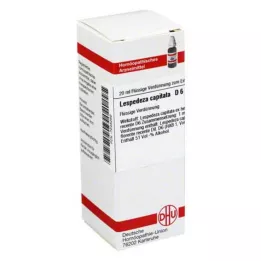 LESPEDEZA CAPITATA D 6 Lahjendus, 20 ml