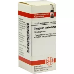 SYZYGIUM JAMBOLANUM D 4 kapslit, 10 g