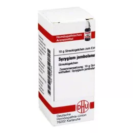 SYZYGIUM JAMBOLANUM D 4 kapslit, 10 g