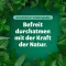 Bronchoforton® salv, 100 g