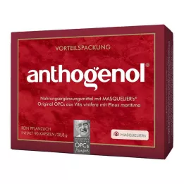 OPC ORIGINAL Masqueliers Anthogenol kapslid, 90 kapslit