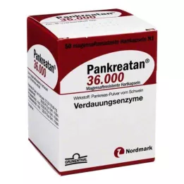 PANKREATAN 36 000 kõvakapslit, 50 tk
