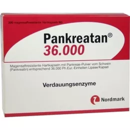 PANKREATAN 36 000 kõvakapslit, 200 tk