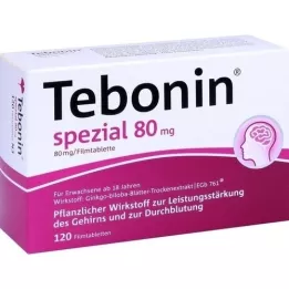 TEBONIN spetsiaalsed 80 mg õhukese polümeerikattega tabletid, 120 tk