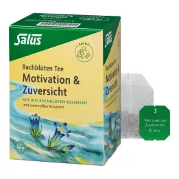 BACHBLÜTEN TEE Motivatsioon &amp; Usaldus Organic Salus, 15 tk