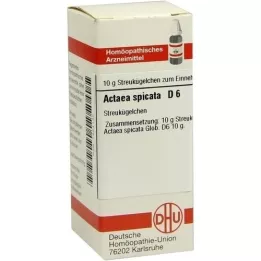 ACTAEA SPICATA D 6 kapslit, 10 g