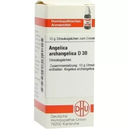 ANGELICA ARCHANGELICA D 30 kapslit, 10 g