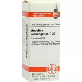 ANGELICA ARCHANGELICA D 30 kapslit, 10 g