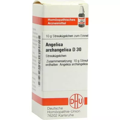 ANGELICA ARCHANGELICA D 30 kapslit, 10 g