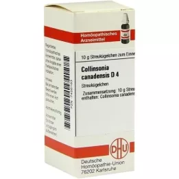 COLLINSONIA CANADENSIS D 4 kapslit, 10 g