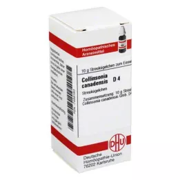 COLLINSONIA CANADENSIS D 4 kapslit, 10 g