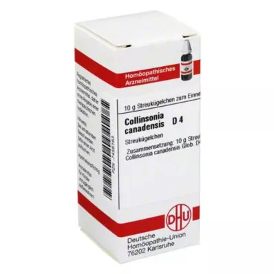 COLLINSONIA CANADENSIS D 4 kapslit, 10 g