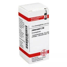 JABORANDI C 30 graanulid, 10 g