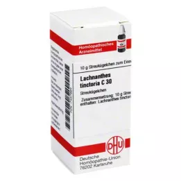 LACHNANTHES tinctoria C 30 kapslit, 10 g
