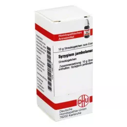 SYZYGIUM JAMBOLANUM D 6 kapslit, 10 g