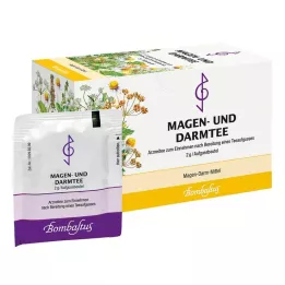 MAGEN UND Soolestiku tee Bombastus filtrikott, 20X2 g