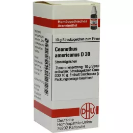 CEANOTHUS AMERICANUS D 30 kapslit, 10 g