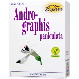 ANDROGRAPHIS paniculata kapslid, 60 tk