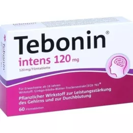 TEBONIN intensiivsed 120 mg õhukese polümeerikattega tabletid, 60 tk