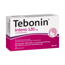 TEBONIN intensiivsed 120 mg õhukese polümeerikattega tabletid, 60 tk