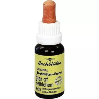 BACHBLÜTEN Murnauer Star of Bethlehem tilgad, 20 ml