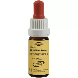 BACHBLÜTEN Murnauer Star of Bethlehem tilgad, 20 ml