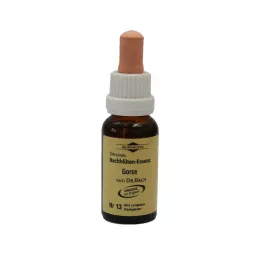BACHBLÜTEN Murnauer Gorse tilgad, 20 ml