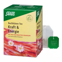 BACHBLÜTEN TEE Võimsus &amp; Energy Bio Salus Fbtl., 15 tk