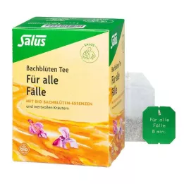 BACHBLÜTEN TEE Kõikidel juhtudel Bio Salus filtertee, 15 tk