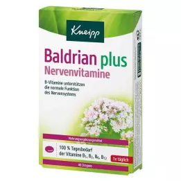 KNEIPP Valerian pluss närvivitamiinid kaetud tabletid, 40 tk