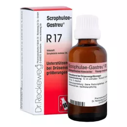 SCROPHULAE-Gastreu R17 segu, 50 ml