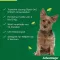 ADVANTAGE 100 lahust koertele 4-10 kg, 4 tk
