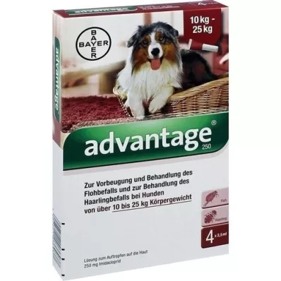 ADVANTAGE 250 lahust koertele 10-25 kg, 4 tk