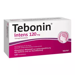 TEBONIN intensiivsed 120 mg õhukese polümeerikattega tabletid, 120 tk