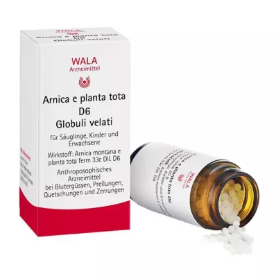 Arnica E Planta tota D 6 kerakest, 20 g