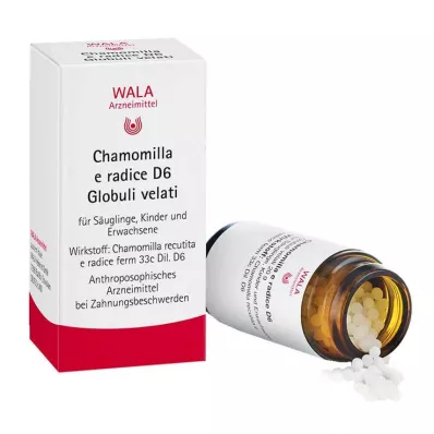 Chamomilla E Radix D 6 gloobulit, 20 g