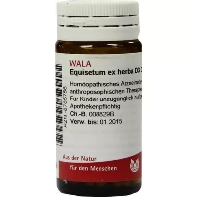 EQUISETUM EX Herba D 3 kapslit, 20 g