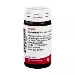 EQUISETUM/VISCUM Gloobulid, 20 g
