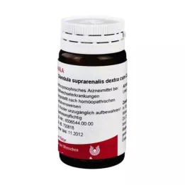 GLANDULA SUPRARENALIS dextra cum Cupro gloobulid, 20 g