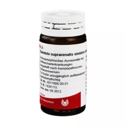 GLANDULA SUPRARENALES sinistra cum Cupro gloobulid, 20 g