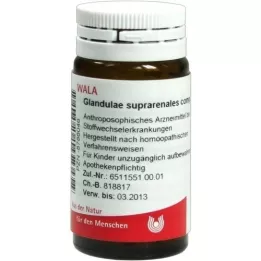 GLANDULAE SUPRARENALES comp.globulid, 20 g