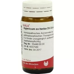 HYPERICUM EX Herba D 6 kapslit, 20 g