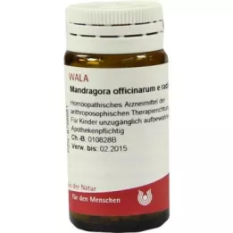 MANDRAGORA OFFICINARIUM e radice D 6 graanulid, 20 g